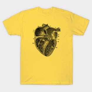 Inner Heart Diagram - Vintage Anatomy T-Shirt